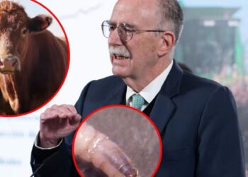 Sin fecha para la reapertura de la frontera de EEUU al ganado mexicano, confirma Julio Berdegué tras reunión con Brooke Rollins