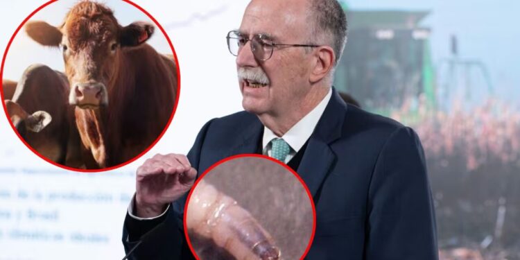 Sin fecha para la reapertura de la frontera de EEUU al ganado mexicano, confirma Julio Berdegué tras reunión con Brooke Rollins