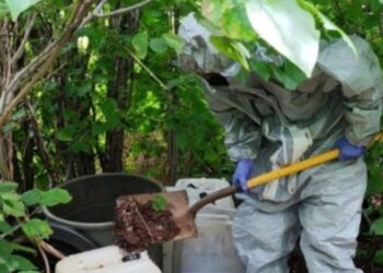 Fuerzas federales desmantelan depósitos de químicos en Culiacán y Cosalá