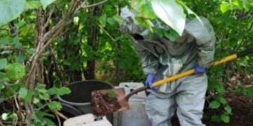 Fuerzas federales desmantelan depósitos de químicos en Culiacán y Cosalá