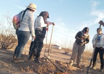Fiscalía de Sonora confirma hallazgo de 60 cuerpos sobre carretera; acusa ajustes de cuentas