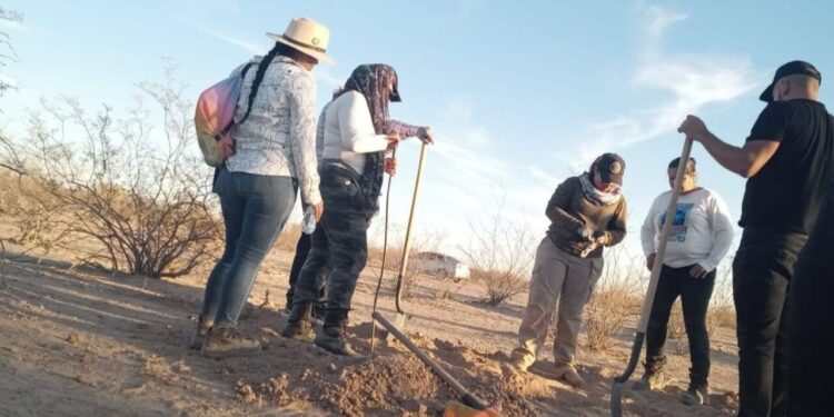 Fiscalía de Sonora confirma hallazgo de 60 cuerpos sobre carretera; acusa ajustes de cuentas