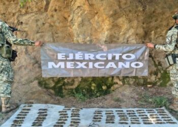 Operación Frontera Norte aseguró precursores en Sinaloa valuados en 4 mdp  