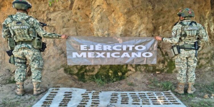 Operación Frontera Norte aseguró precursores en Sinaloa valuados en 4 mdp  