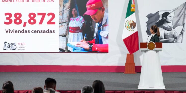 Reforzarán censos en estados afectados por lluvias, habrá 5 mil brigadistas el fin de semana: “Llegaremos hasta el último rincón”