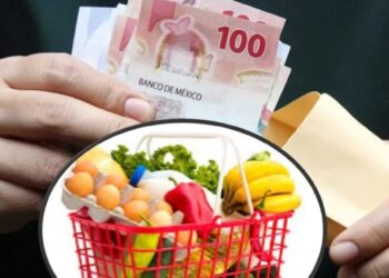 Senadores de Movimiento Ciudadano proponen fijar el salario mínimo en México en el valor de dos canastas básicas, lo que implicaría un aumento de 17% para 2026 y garantizaría ingresos suficientes para cubrir necesidades alimentarias y no alimentarias
