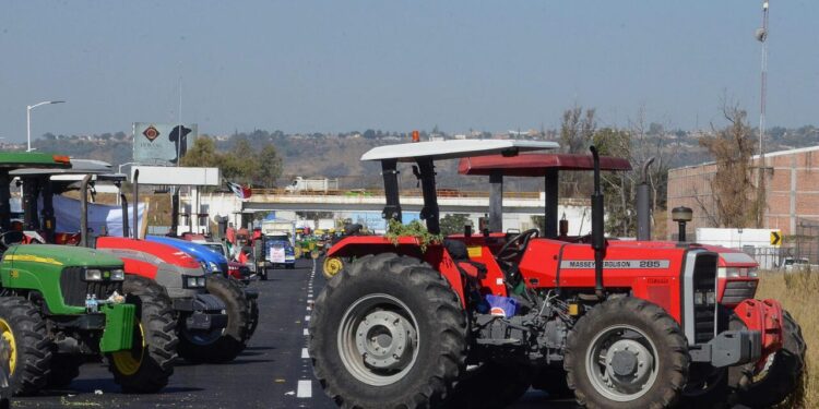 Gobierno y productores de maíz logran acuerdo; habrá apoyo de 950 pesos tras diálogo