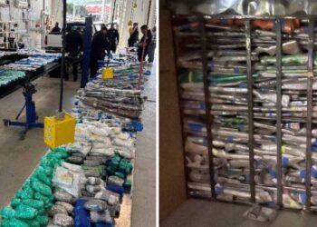 EE.UU. decomisa más de 500 armas y 31 mil cartuchos que se dirigían a México