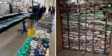 EE.UU. decomisa más de 500 armas y 31 mil cartuchos que se dirigían a México