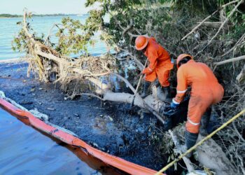 Derrame de petróleo en ríos de Veracruz: así va la reparación de la fuga en el oleoducto Poza Rica- Madero