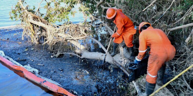 Derrame de petróleo en ríos de Veracruz: así va la reparación de la fuga en el oleoducto Poza Rica- Madero