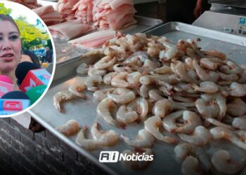 Camarón escasea en Sinaloa; preocupa crítica baja en captura inicial: Flor Emilia Guerra