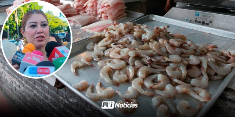 Camarón escasea en Sinaloa; preocupa crítica baja en captura inicial: Flor Emilia Guerra