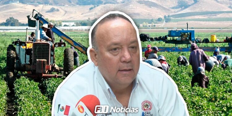 Campesinos de Sinaloa exigen apoyo real al campo: Miguel Ángel Miranda