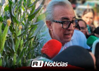 Son ajustes necesarios en la gobernanza: Rocha Moya