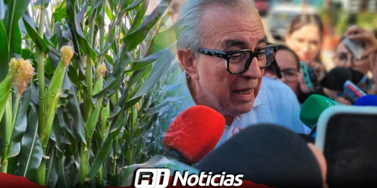 Son ajustes necesarios en la gobernanza: Rocha Moya