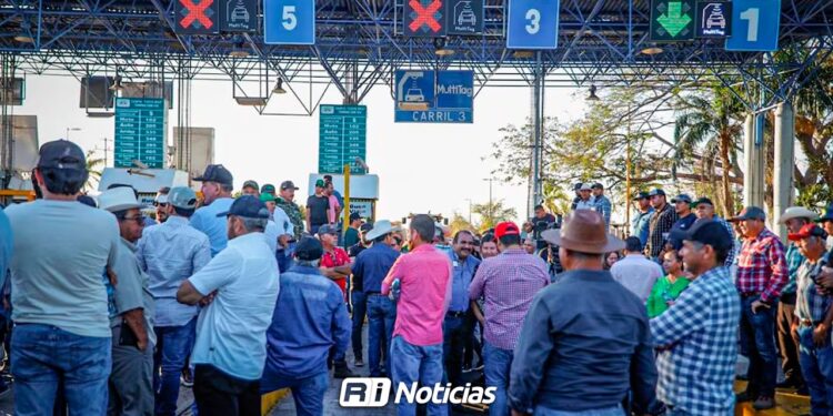 Es un hecho, productores sinaloenses tomarán casetas ante falta de acuerdo por maíz