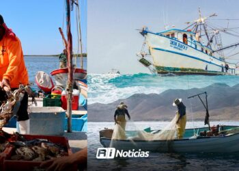¡Ya cayó! Pescadores de Sinaloa reciben el tan aneblado apoyo Bienpesca