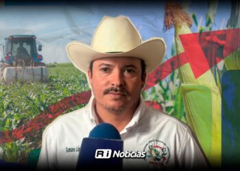 Productores de Sinaloa urgen rescatar la rentabilidad del maíz