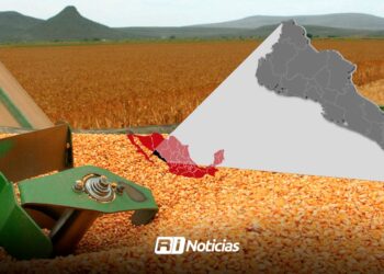 Gobierno Federal y Estatal atienden tema del maíz de Sinaloa; el lunes habrá resolutivo