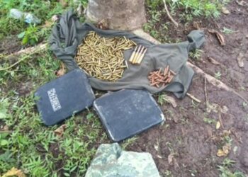 Localizan punto de “halconeo” y aseguran municiones en la sierra de Concordia