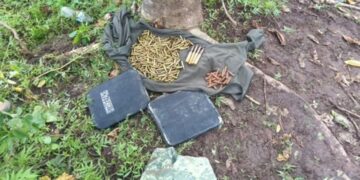 Localizan punto de “halconeo” y aseguran municiones en la sierra de Concordia