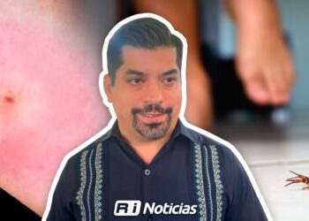 Más de 3,200 picaduras de Alacrán en Sinaloa obligan a reforzar la prevención