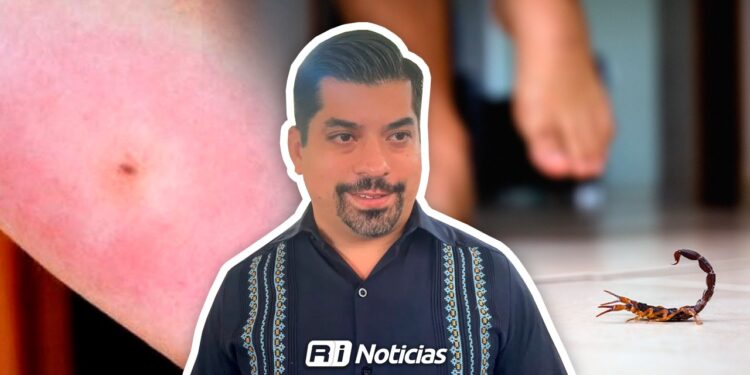 Más de 3,200 picaduras de Alacrán en Sinaloa obligan a reforzar la prevención