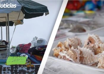 Vendedores de Playa proyectan buenos números para el último trimestre del año