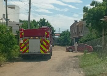 Adulta mayor es atacada por abejas en Valles del Ejido, en Mazatlán