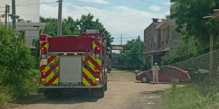 Adulta mayor es atacada por abejas en Valles del Ejido, en Mazatlán