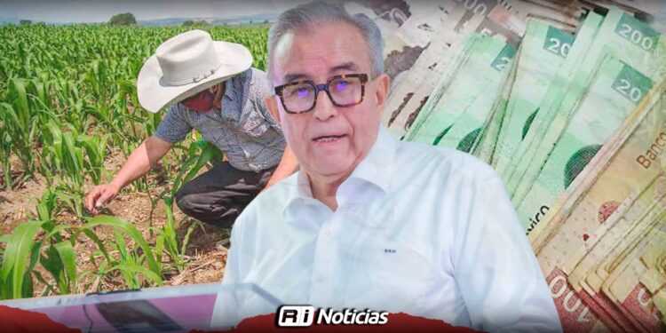 Rocha moya gestiona pagos para agricultores de trigo y pide apertura de ventanillas a Sader