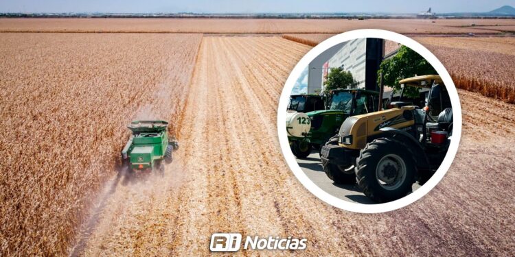 Desacuerdo en demandas del Paro Nacional Agrícola: La postura de la Liga de Comunidades Agrarias en Sinaloa
