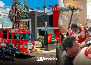 Atiende Bomberos tres ataques de abejas en las últimas semanas