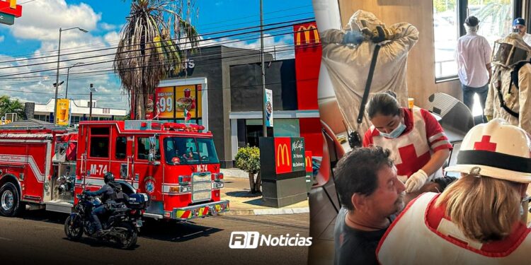 Atiende Bomberos tres ataques de abejas en las últimas semanas