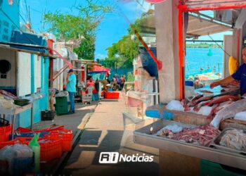 Ventas en Embarcadero de la Isla de la Piedra se desploman un 70%; reportan dura crisis