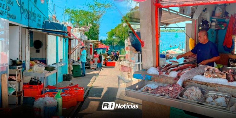 Ventas en Embarcadero de la Isla de la Piedra se desploman un 70%; reportan dura crisis