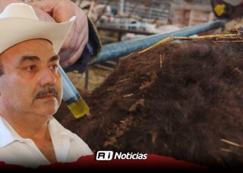 Ganaderos recibirán la próxima semana 2 mil dosis contra derriengue