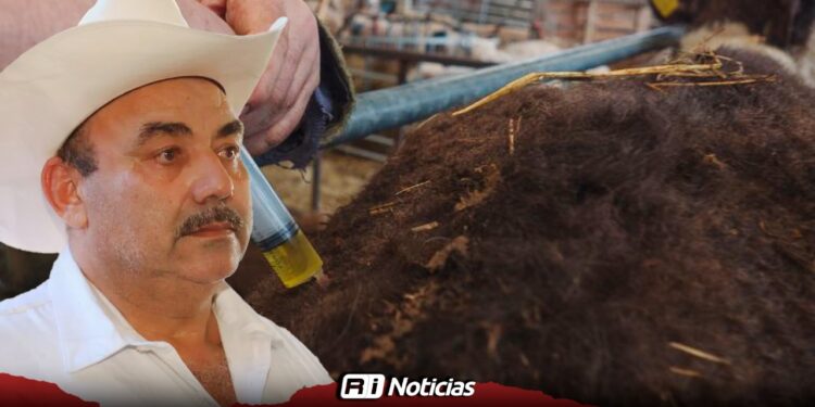 Ganaderos recibirán la próxima semana 2 mil dosis contra derriengue