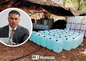 Operativos en Sinaloa aseguran 246 millones en drogas y precursores químicos