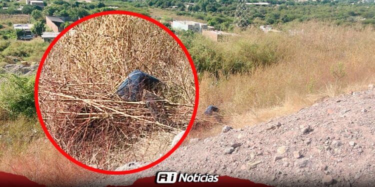 Hallan cuerpo de joven con “Tiro de gracia” en Culiacán