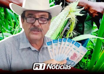 Campesinos de Sinaloa en incertidumbre por garantías del precio para el maíz nativo