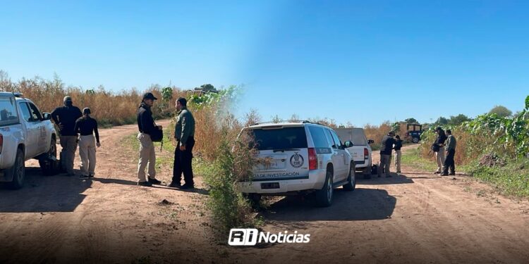 Localizan cuerpo en avanzado estado de descomposición en Higuerita de Culiacancito