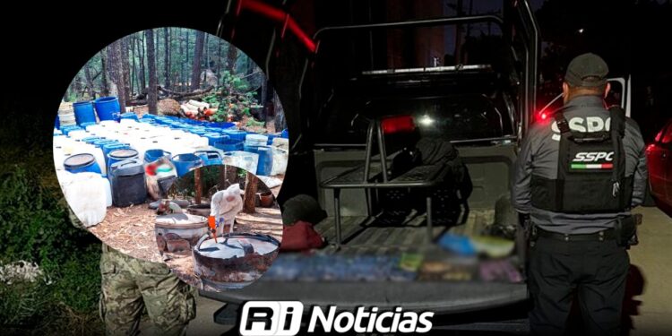 Decomisan toneladas de droga, armas de fuego y fentanilo en Sinaloa durante la “Operación Frontera Norte”