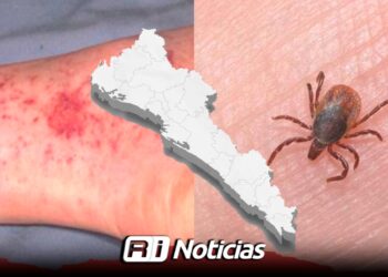 Aumentan a 15 las defunciones por Rickettsia en Sinaloa: preocupación por el descuido de mascotas