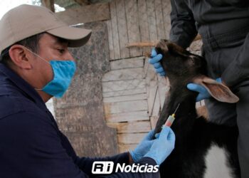 Ganaderos se capacitan contra la rabia y reciben 3 mil dosis contra derriengue