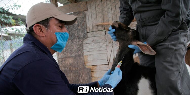 Ganaderos se capacitan contra la rabia y reciben 3 mil dosis contra derriengue