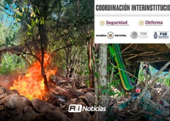 Aseguran y destruyen campamento usado por la delincuencia organizada en Tepuche