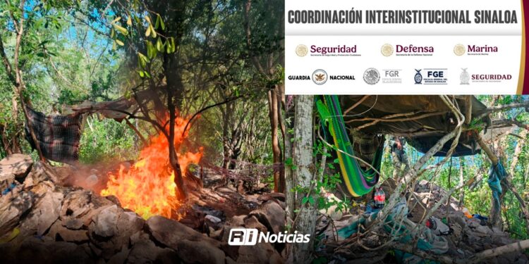 Aseguran y destruyen campamento usado por la delincuencia organizada en Tepuche