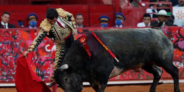 SCJN estudia un amparo de un pueblo contra las corridas de toros ‘sin sangre’